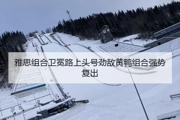 ya-si-zu-he-wei-mian-lu-shang-tou-hao-jing-di-huang-ya-zu-he-qiang-shi-fu-chu-3-864.jpg