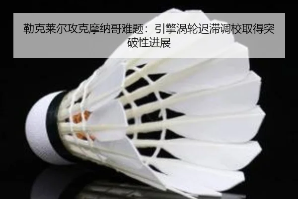 lei-ke-lai-er-gong-ke-mo-na-ge-nan-ti-yin-qing-wo-lun-chi-zhi-diao-xiao-qu-de-tu-po-xing-jin-zhan-3-902.jpg