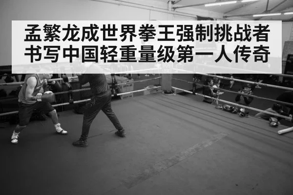 孟繁龙成世界拳王强制挑战者书写中国轻重量级第一人传奇